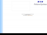msm-future-system.de Webseite Vorschau