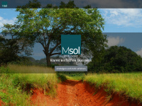 msol.at
