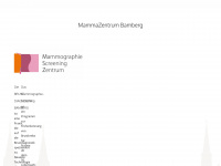 msz-bamberg.de Webseite Vorschau