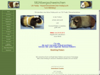 muehlbergschweinchen.de Webseite Vorschau