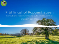 mueller-poppenhausen.de Webseite Vorschau