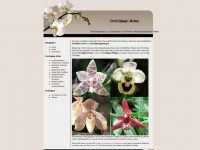 orchideen-arten.de