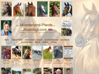 muensterland-pferde.de Webseite Vorschau