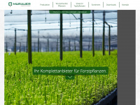 murauer-forstpflanzen.at Webseite Vorschau