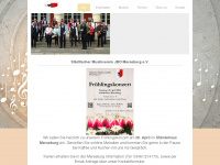 musikverein-merseburg.de Webseite Vorschau