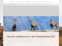muttseehuette.ch Webseite Vorschau