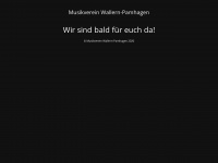 mv-wallern-pamhagen.at Webseite Vorschau