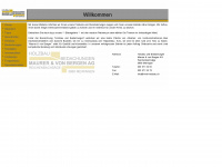 mvb-holzbau.ch Webseite Vorschau