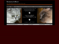 mycat-online.de Webseite Vorschau