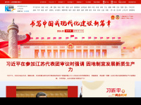 xinhuanet.com Webseite Vorschau