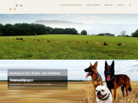 hundefreunde-waldesruh.com Webseite Vorschau