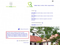 radlje.si Webseite Vorschau