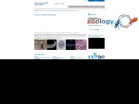 zoology.univie.ac.at Webseite Vorschau
