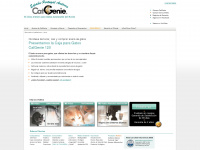 catgenie.es Webseite Vorschau