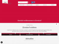 zirndorf-marketing.de Thumbnail