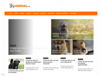 animal.ch Webseite Vorschau