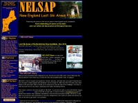 nelsap.org Webseite Vorschau