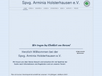 arminia-holsterhausen.de Webseite Vorschau