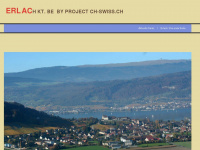 be-erlach.ch Webseite Vorschau