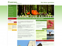 campingparadies.de Webseite Vorschau