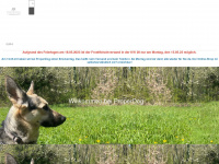 properdog.de Webseite Vorschau
