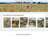 digitalmagazin.de Webseite Vorschau