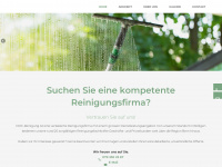 doc-reinigungen.ch Webseite Vorschau