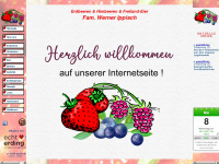 erdbeeren-ippisch.de Webseite Vorschau