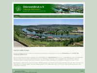 owk-hassmersheim.de Webseite Vorschau