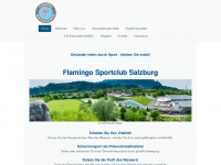 flamingo-salzburg.at Webseite Vorschau