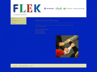 flek-gruppe.de Webseite Vorschau
