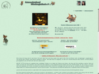 katzenschutzbund.de Webseite Vorschau