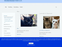 strassenkatzen-koeln.de Webseite Vorschau