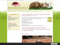 meerschweinchen-in-not.de Webseite Vorschau
