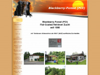 blackberry-forest.ch Webseite Vorschau