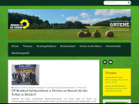 gruene-ak.de Webseite Vorschau