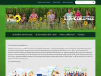 gruene-erlensee.de Webseite Vorschau