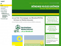 gruene-niedernhausen.de Webseite Vorschau
