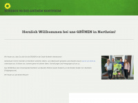 gruene-northeim.de Webseite Vorschau