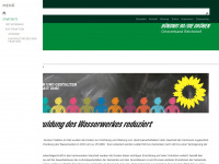 gruene-reichshof.de Webseite Vorschau