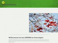 gruene-unterallgaeu.de Webseite Vorschau