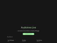 audiotree.tv Webseite Vorschau