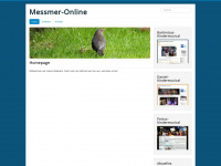Messmer-online.de