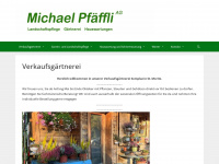 michael-pfaeffli.ch Thumbnail