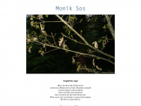 monik.de Webseite Vorschau