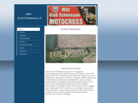 msc-gross-schwiesow.de Webseite Vorschau