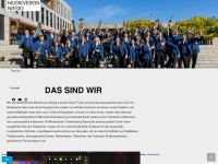 msvniesig.de Webseite Vorschau