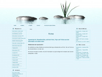 myownnet.ch Webseite Vorschau