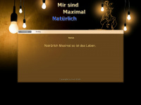 namax.ch Webseite Vorschau