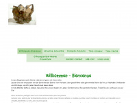 natur-zentrum.ch Webseite Vorschau